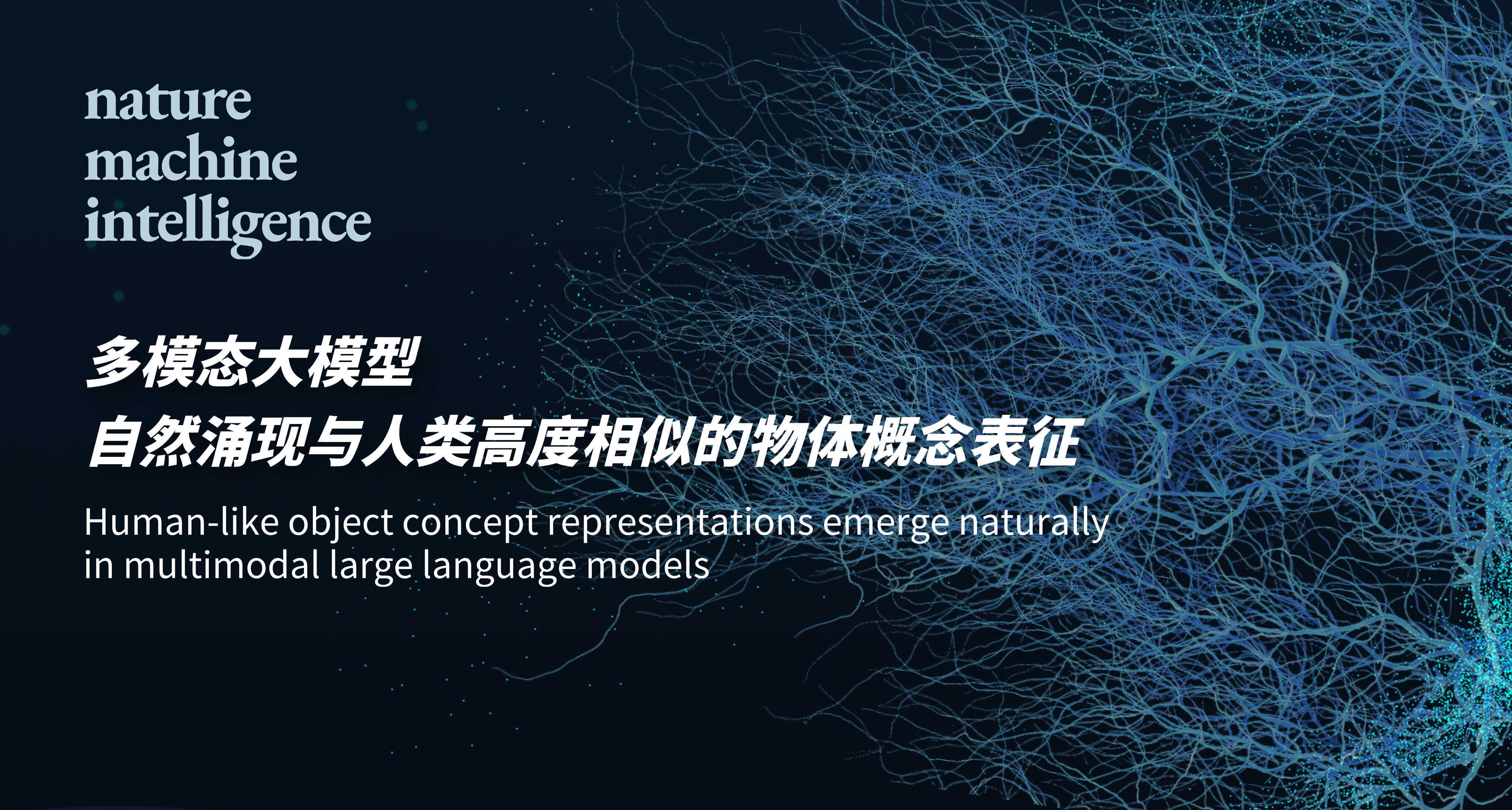 研究揭示多模態(tài)大模型涌現(xiàn)類(lèi)人物體概念表征